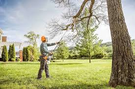 Best Tree Planting Services  in USA